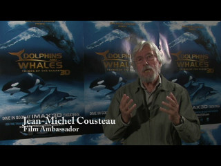 Dolphins and Whales 3D: Tribes of the Ocean movies
