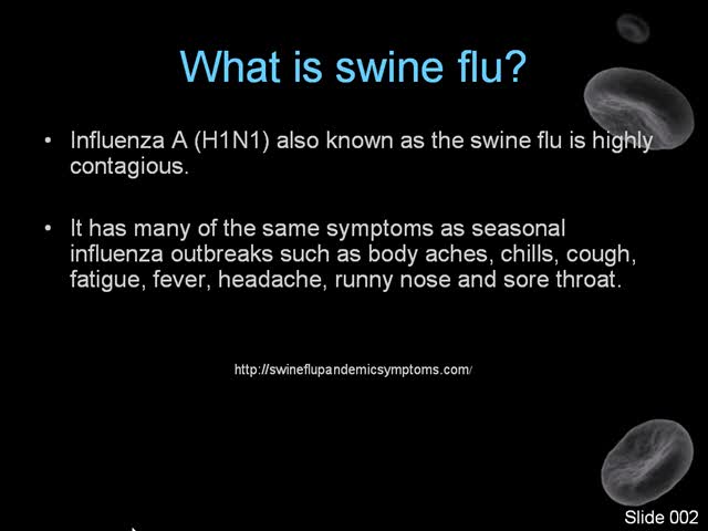Swine Flu Pandemic Symptoms