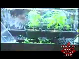 homemade hydroponics substrate