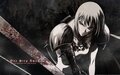 Claymore AMV's 1st Projects