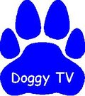 Doggy Television