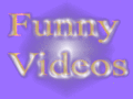 Funny Videos Online