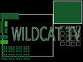 Wildcat TV