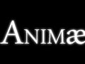 Animæ Animation Studios