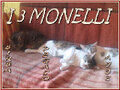 I 3 Monelli