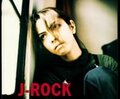 My J-Rock fanvideos