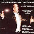 Concierto Lirico 2008