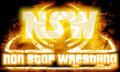 NSW Non Stop Wrestling 