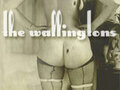The Wallingtons