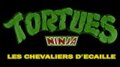 Tortues Ninja (1987)