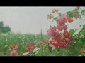 絢香　「手をつなごう」　PV視聴　無料動画