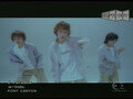 w-inds video