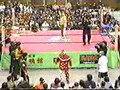 Wrestling(Japan)