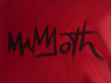 MAMMOTH MTN | 2008