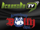 KushTV - The American Bully Show