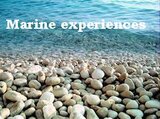 Marine experiences 