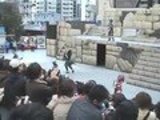 Super Sentai Stage Show