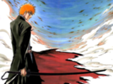 the coolest bleach fights ever