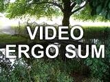 Video Ergo Sum