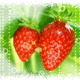 strawberrylady